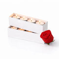Long White Box